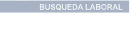 Busqueda Laboral